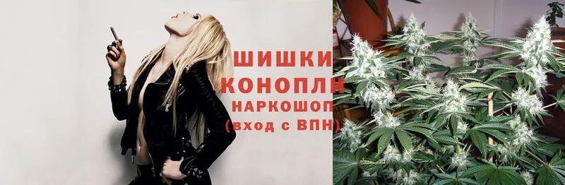 Каннабис SATIVA & INDICA  как найти наркотики  darknet какой сайт  Балабаново 